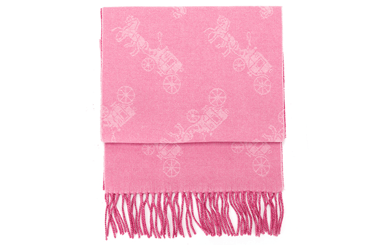 Coach Шарф Women Knit Scarf