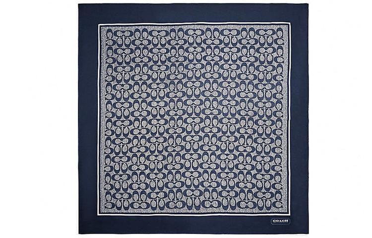 Coach Шарф Women Silk Scarf