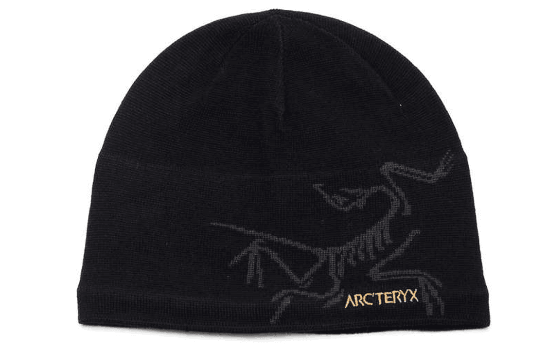 Arc'teryx Шапка Logo