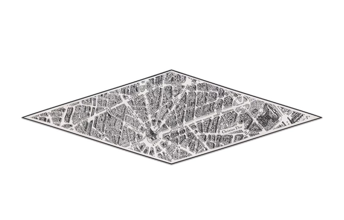 Dior Шарф Plan de Paris DIAMOND