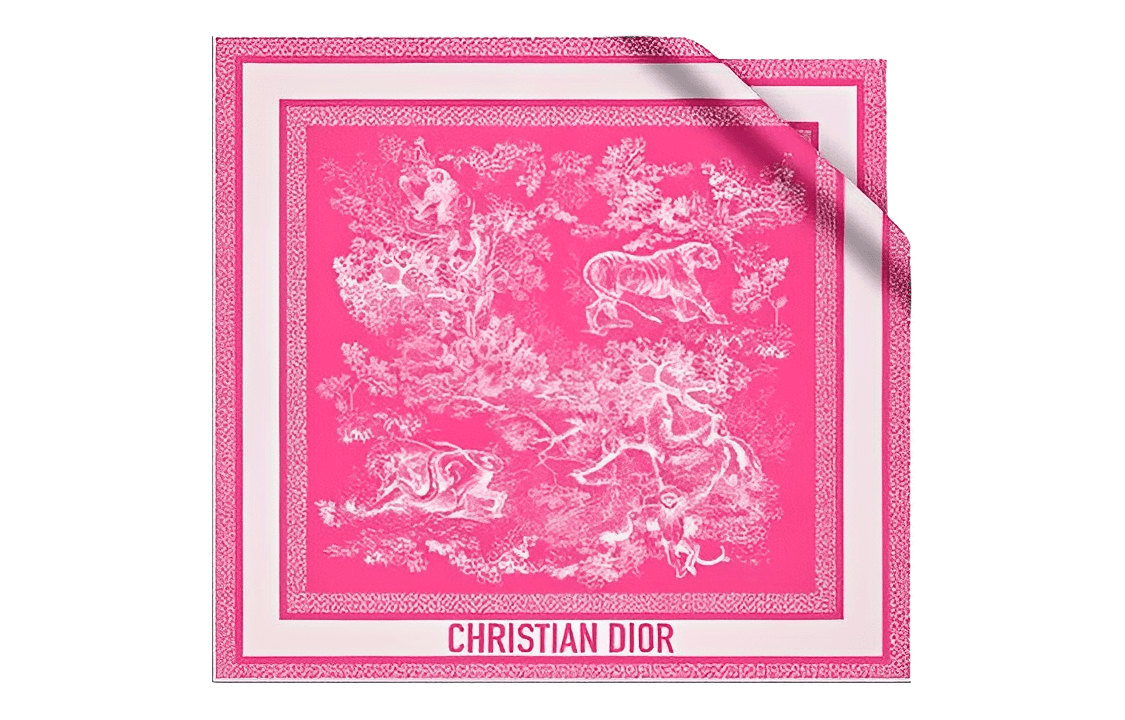 Dior Шарф 
