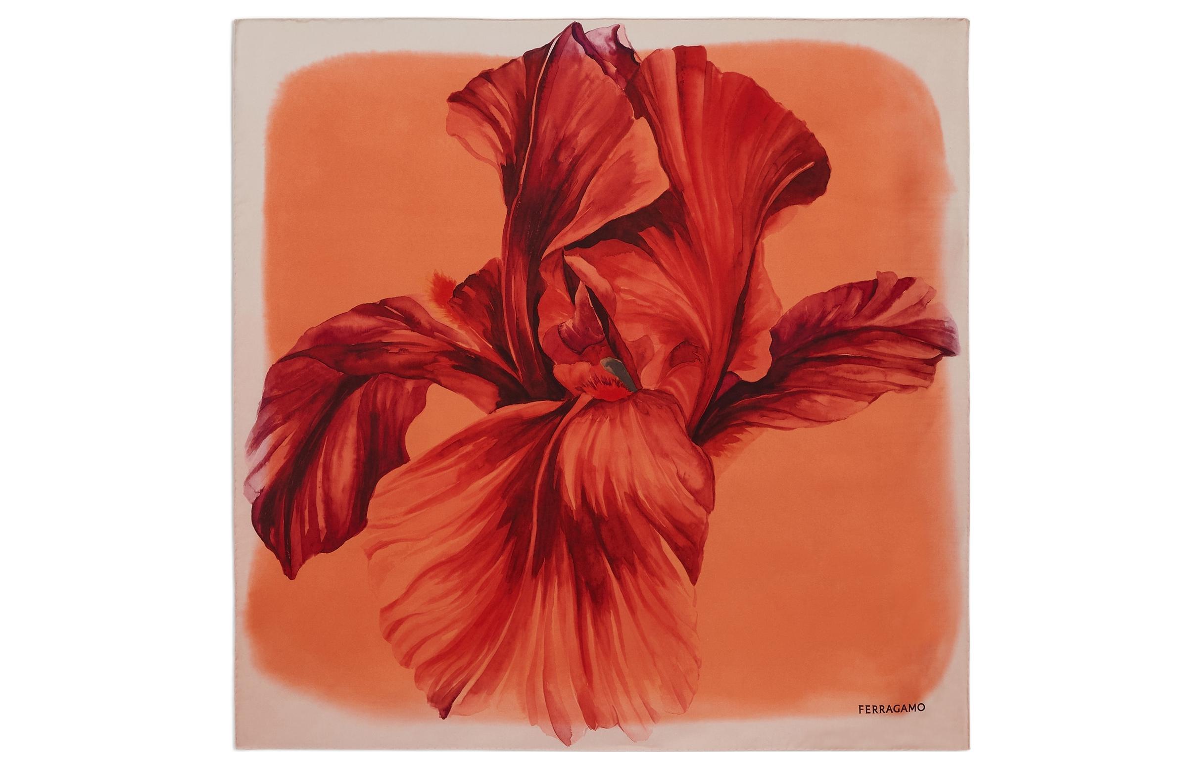 Ferragamo Шарф Women Silk Scarf