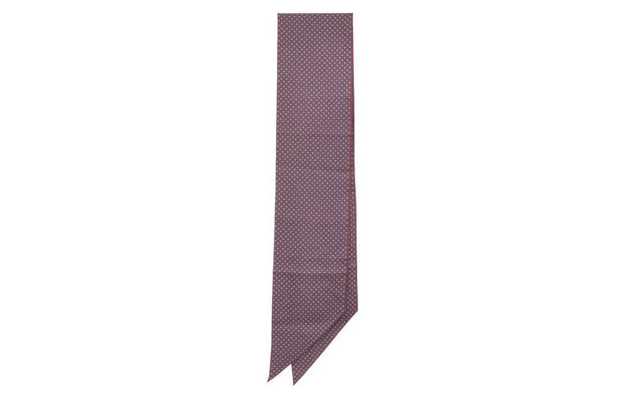 Celine Шарф Men Silk Scarf
