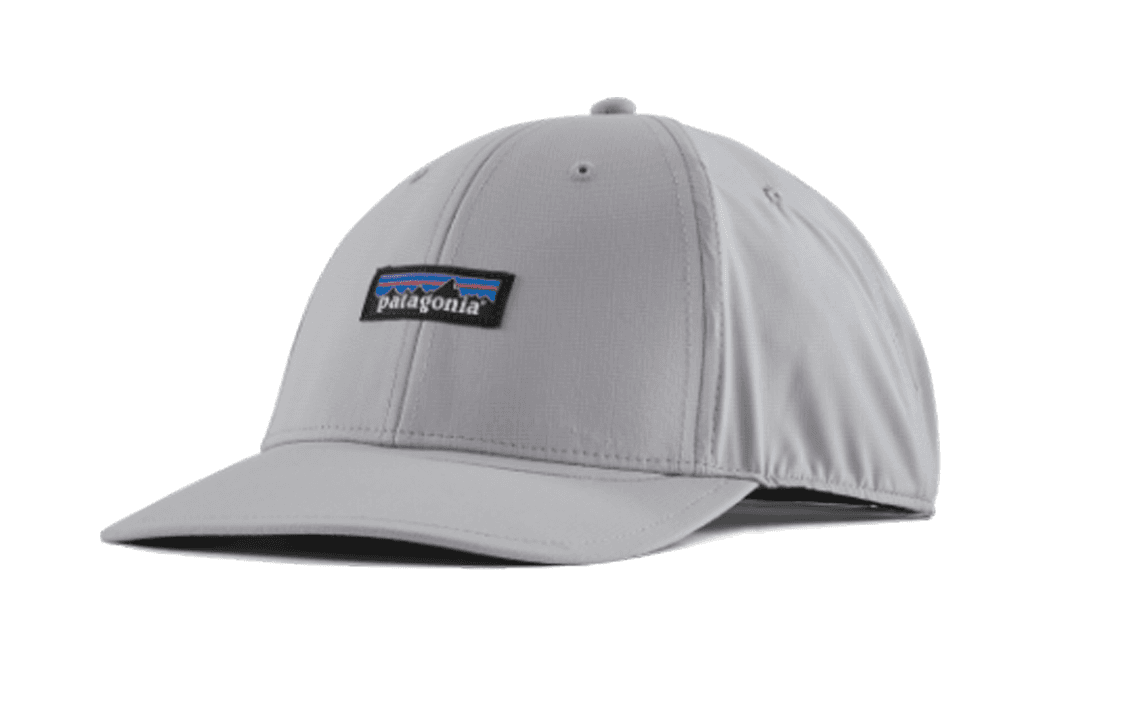 patagonia Кепка Logo