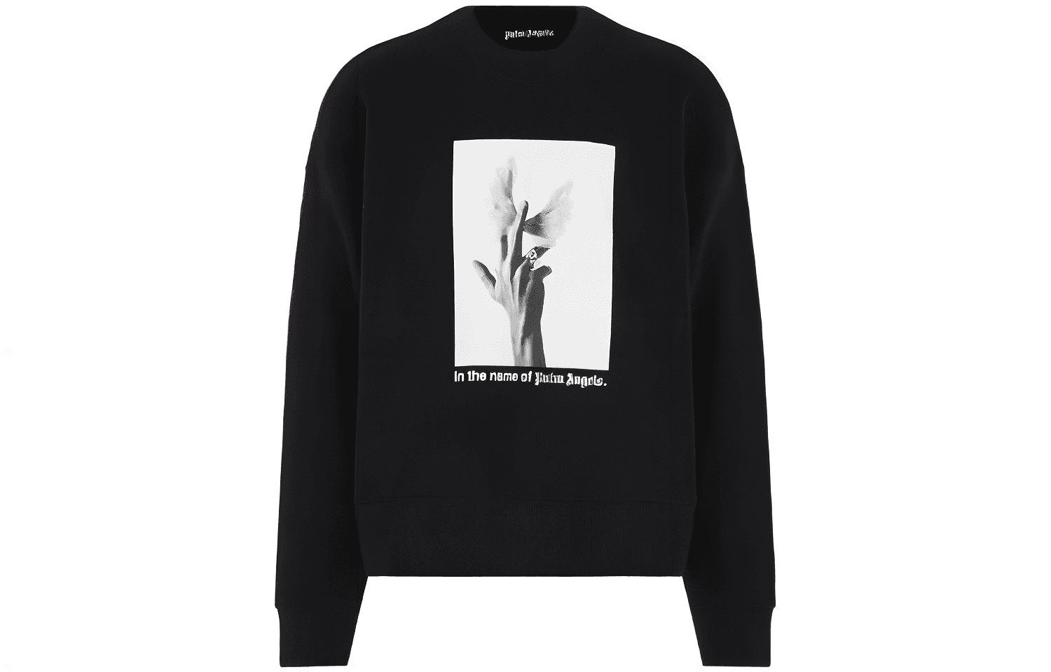 Palm Angels Худи и толстовки 