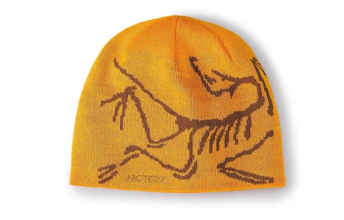Arc'teryx Шапка Logo Edziza/Relic