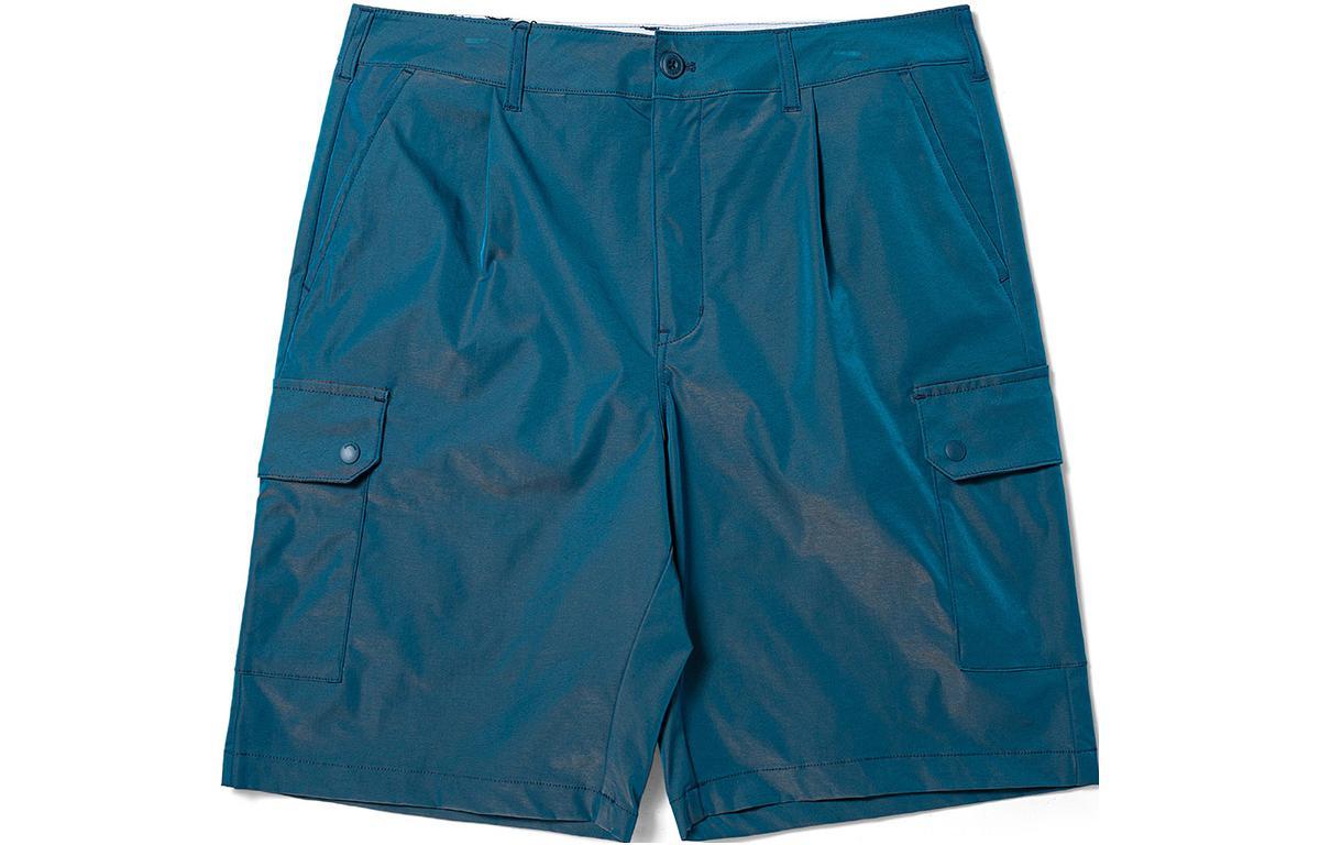 Dickies Шорты 