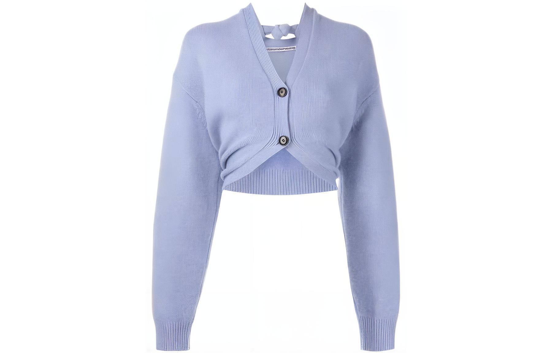 alexander wang Свитер Women Sweater